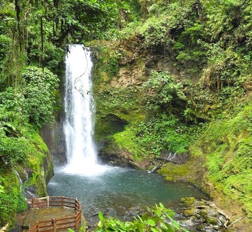 tour la paz waterfall