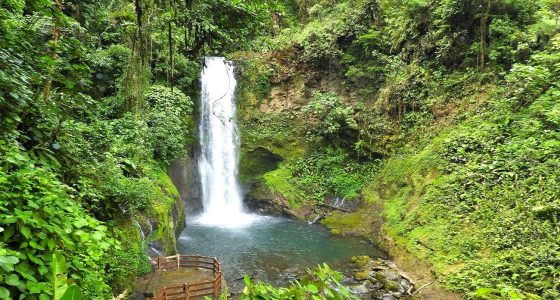 tour la paz waterfall