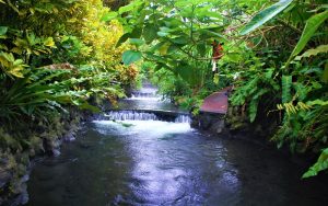 Tabacon hot springs tour