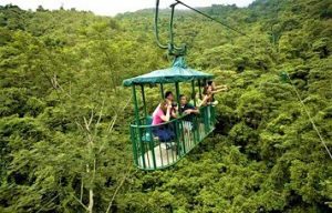 Rain forest aerial tram tour
