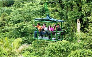Rain forest aerial tram tour