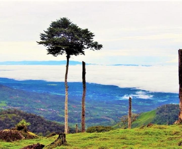 Properties for sale in Pérez Zeledón, Costa Rica