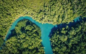 kayaking -Isla Damas