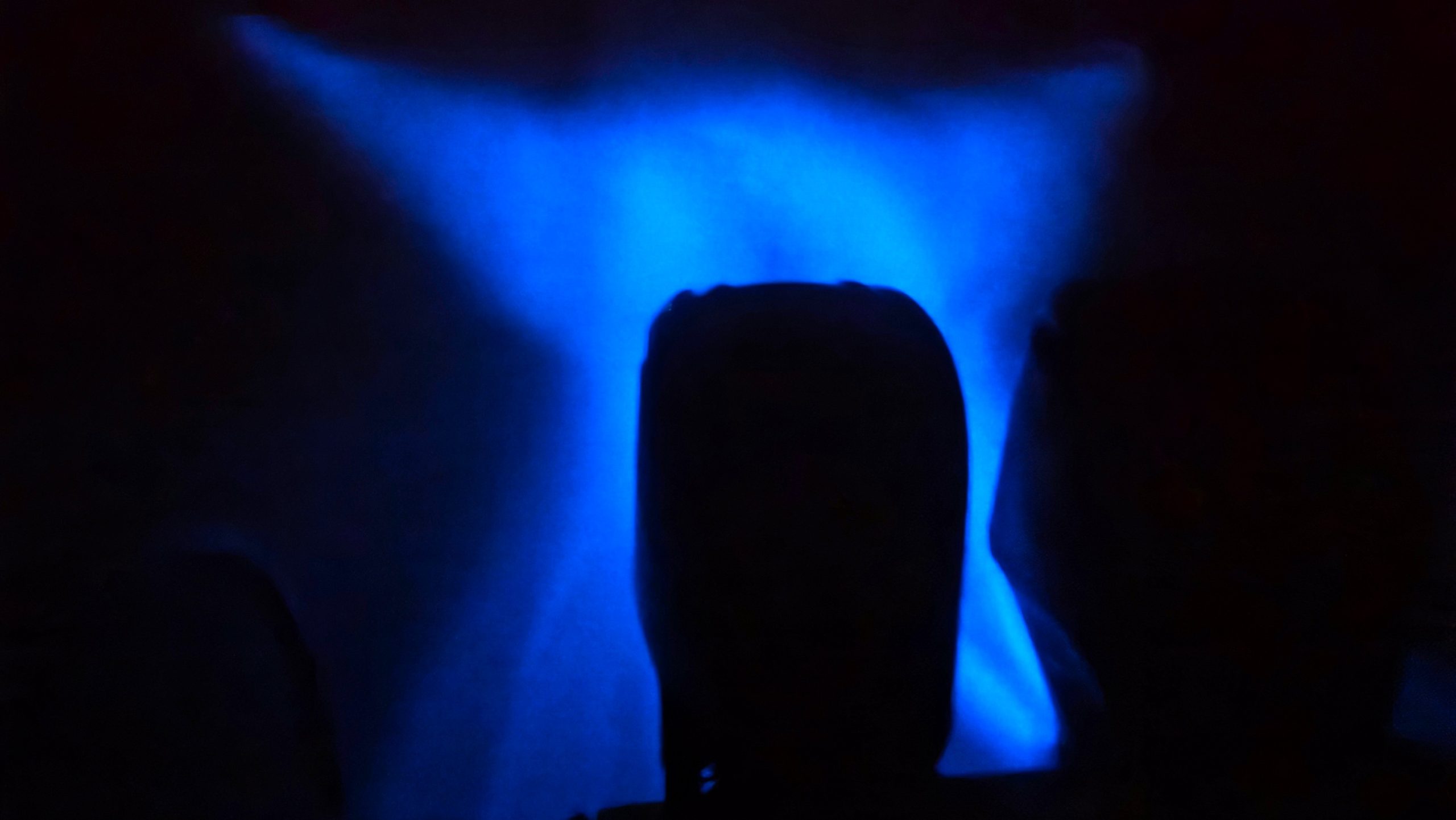 Bioluminescence tour