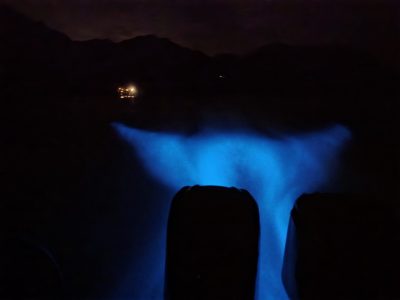 Bioluminescence tour