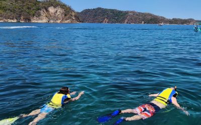 tortuga island tours