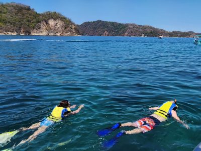 tortuga island tours