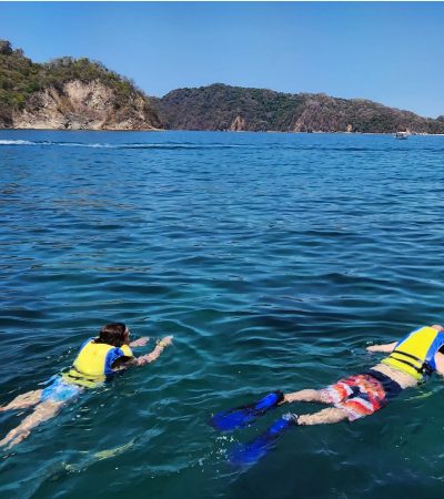 tortuga island tours