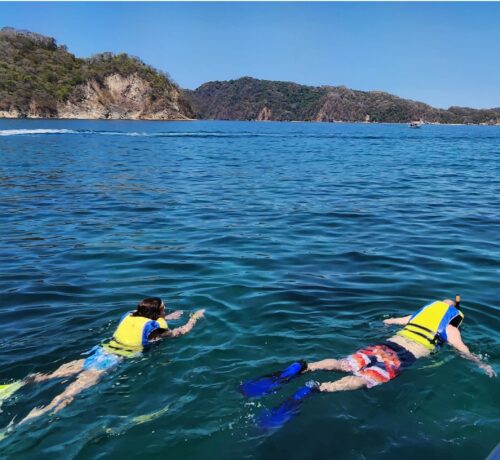 tortuga island tours