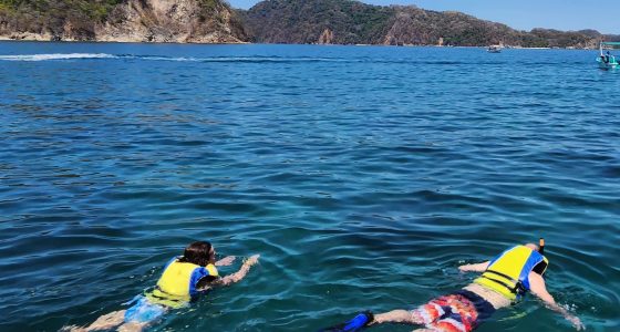 tortuga island tours