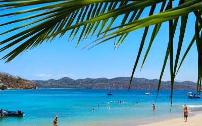 tortuga island tours