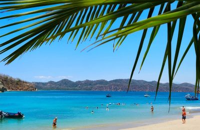 tortuga island tours