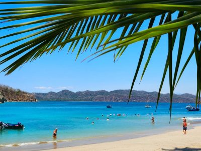 tortuga island tours
