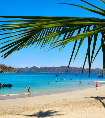 tortuga island tours