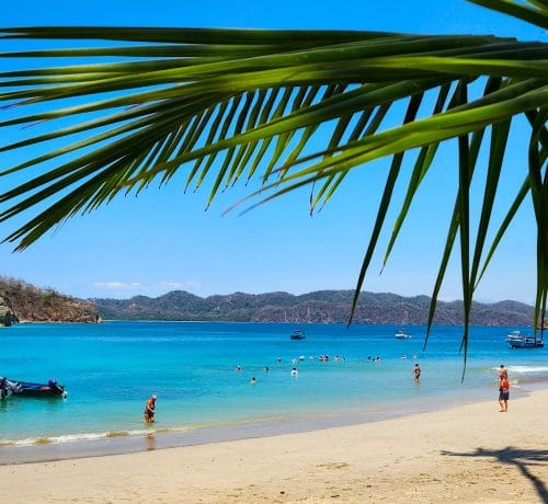 tortuga island tours