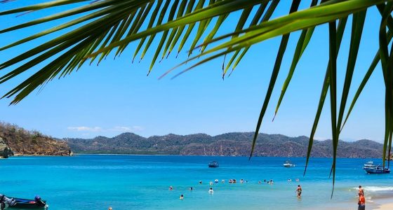 tortuga island tours