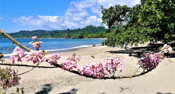 manuel antonio park