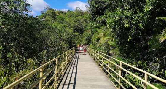 manuel-antonio-park