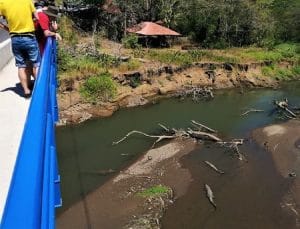 crocodiles-tarcoles-river