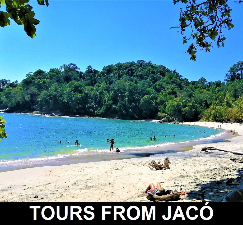TOURS FROM JACO