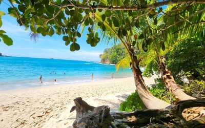 Manuel Antonio National Park tour