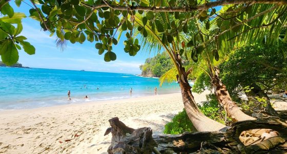 Manuel Antonio National Park tour