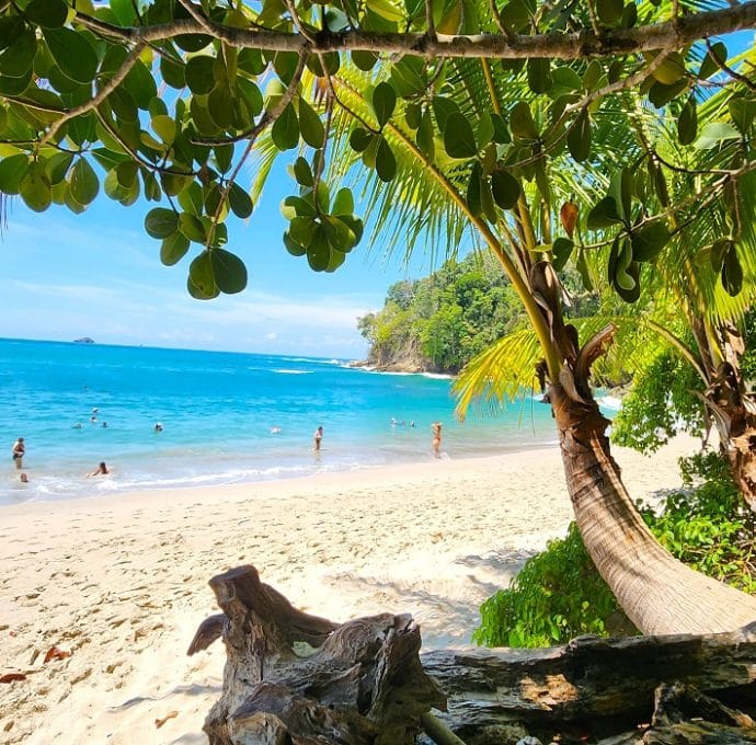 Manuel Antonio National Park tour